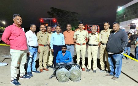 शहरात 10 किलो गांजा पकडला, एक आरोपी अटक...