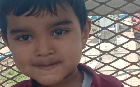 मोकाट कुत्र्यांनी 3 वर्षाच्या अरमानचा घेतला जीव, मोकाट कुत्र्यांवर नियंत्रण करण्याची मागणी...!