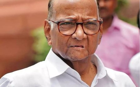 स्थानिक स्वराज्य संस्था निवडणुकीसाठी राष्ट्रवादी शरदचंद्र पक्षाने कंबर कसली...