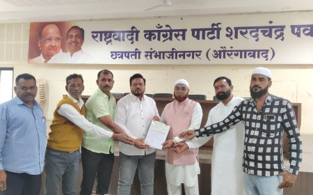 फैसल मुजावर प्रभाग क्रमांक 4 मधून निवडणूक लढण्यास इच्छुक, दोनच दिवसात राष्ट्रवादीच्या 105 इच्छूकांनी घेतले अर्ज...