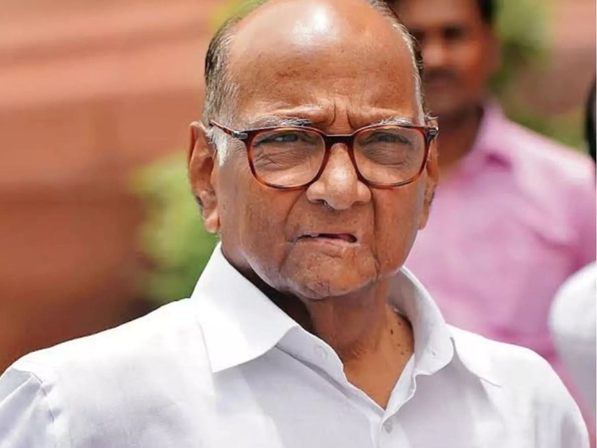 स्थानिक स्वराज्य संस्था निवडणुकीसाठी राष्ट्रवादी शरदचंद्र पक्षाने कंबर कसली...