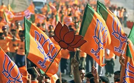 भाजपाच्या 14 बंडखोरांवर कार्यवाई, शहराध्यक्ष किशोर शितोळे यांची माहिती...