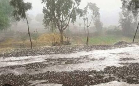 अचानक वातावरणात बदल, अवकाळी पावसाने काही जिल्ह्यांना झोडपले, हवामान खात्याचा अंदाज खरा ठरला...