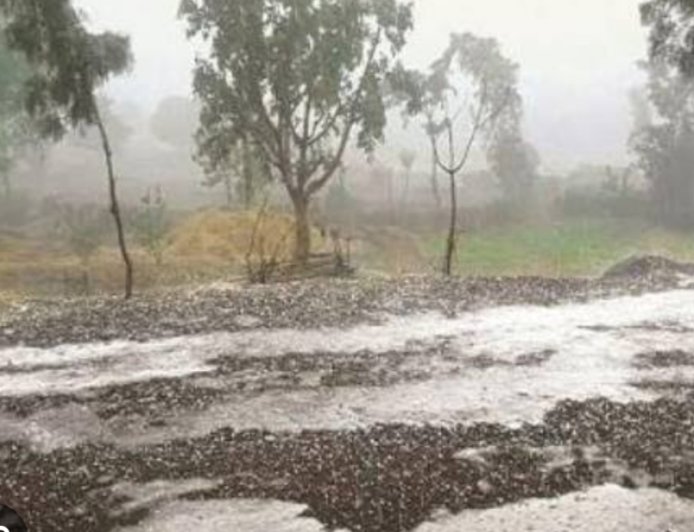 अचानक वातावरणात बदल, अवकाळी पावसाने काही जिल्ह्यांना झोडपले, हवामान खात्याचा अंदाज खरा ठरला...