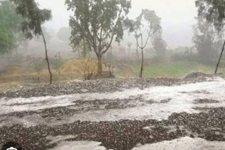 अचानक वातावरणात बदल, अवकाळी पावसाने काही जिल्ह्यांना झोडपले, हवामान खात्याचा अंदाज खरा ठरला...