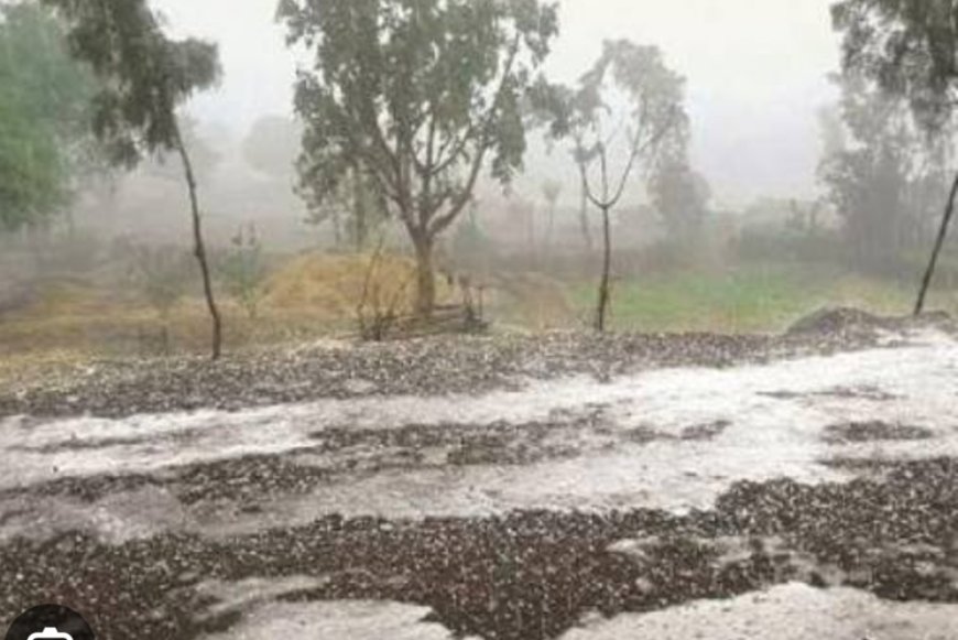 अचानक वातावरणात बदल, अवकाळी पावसाने काही जिल्ह्यांना झोडपले, हवामान खात्याचा अंदाज खरा ठरला...