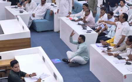 शहराच्या नामांतरावरुन एमआयएमच्या नगरसेवकांचा गदारोळ, सर्व सदस्यांचा सभात्याग...!