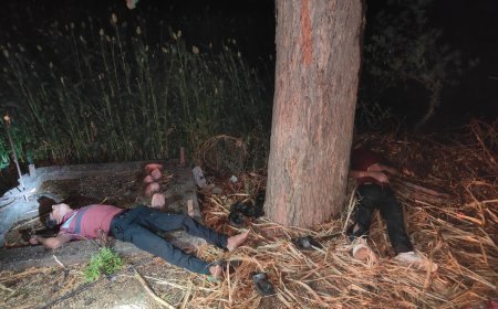 अंबड तालुक्यात वीज पडून दोन‌ तरुण ठार एक गंभीर जखमी...