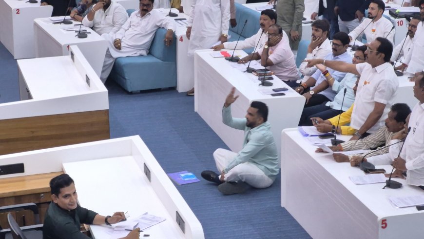 शहराच्या नामांतरावरुन एमआयएमच्या नगरसेवकांचा गदारोळ, सर्व सदस्यांचा सभात्याग...!