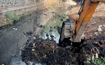 नालेसफाई व कचरा व्यवस्थापन कामांची पाहणी, तात्काळ कामांना सुरुवात...