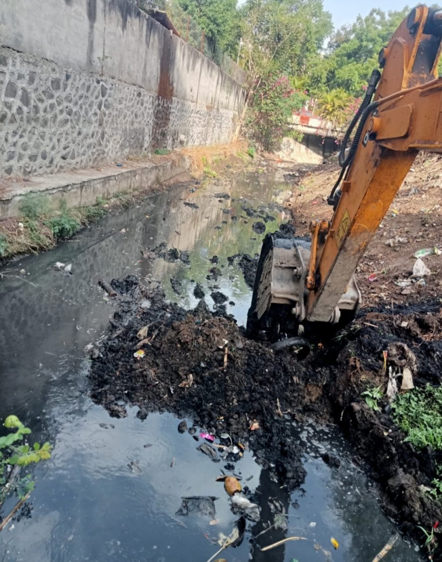 नालेसफाई व कचरा व्यवस्थापन कामांची पाहणी, तात्काळ कामांना सुरुवात...