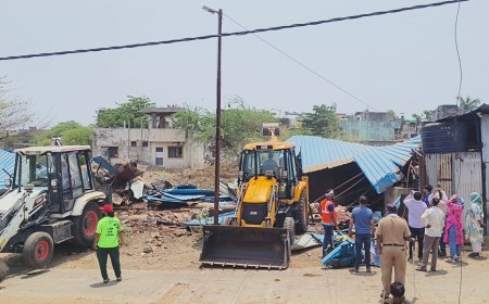म्हशीच्या गोठ्यांवर फिरला मनपाचा बुलडोझर...