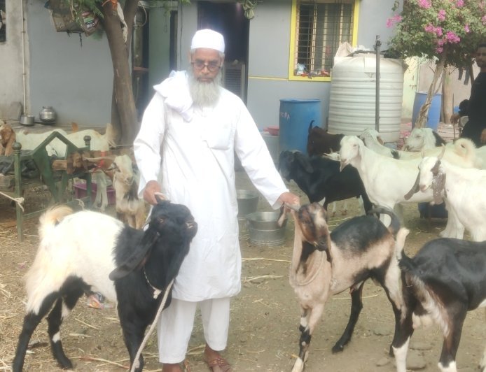 कुर्बानीसाठी बोकडे 550 ते 600 रुपये किलो दराने उपलब्ध...!