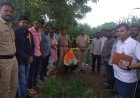 चक्क शेतात केली गांजाची लागवड, एकावर एनडिपिएस अंतर्गत गुन्हा दाखल...!