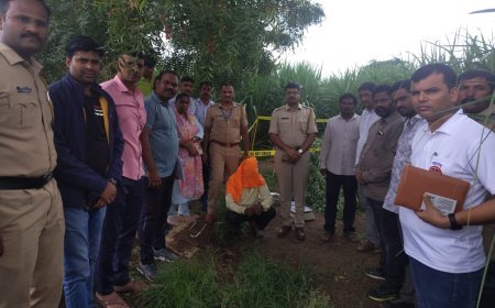 चक्क शेतात केली गांजाची लागवड, एकावर एनडिपिएस अंतर्गत गुन्हा दाखल...!