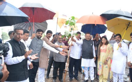 मिटमिटा येथील प्रस्तावित झूलाॅजिकल पार्कमध्ये 3 हजार वृक्षारोपणाने वृक्षारोपण सप्ताहाची सांगता...!