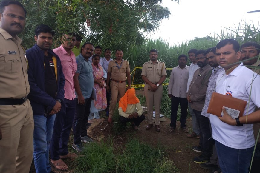 चक्क शेतात केली गांजाची लागवड, एकावर एनडिपिएस अंतर्गत गुन्हा दाखल...!