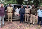 एफडीएची धडक कारवाई, 5 लाखांचा प्रतिबंधित गुटख्याचा साठा जप्त