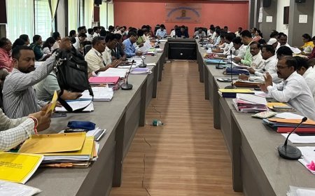 महामार्ग सुरक्षा बळकटीकरणासाठी जिल्हा कृती दलाची स्थापना, जिल्हाधिका-यांचे आदेश