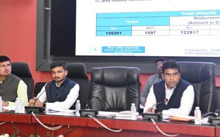 कर्जमुक्ती योजनेतील प्रलंबित प्रकरणे तातडीने निकाली काढा - जिल्हाधिकारी विनय गौडा जी.सी.