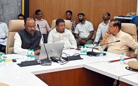 दुष्काळ परिस्थितीबाबत जिल्हाधिकाऱ्यांना तात्काळ अहवाल सादर करण्याचे महसूलमंत्र्यांचे आदेश