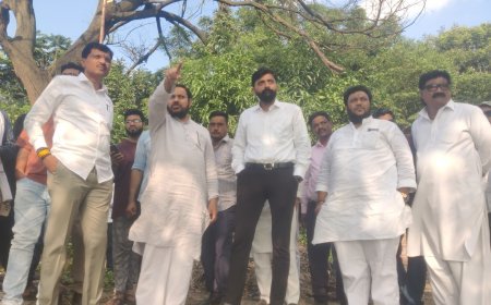 दिल्ली गेट, ऐतिहासिक सलिम अली सरोवराचा विकास करण्यासाठी जावेद कुरेशी यांचा पुढाकार, महापौर, आयुक्तांची भेट