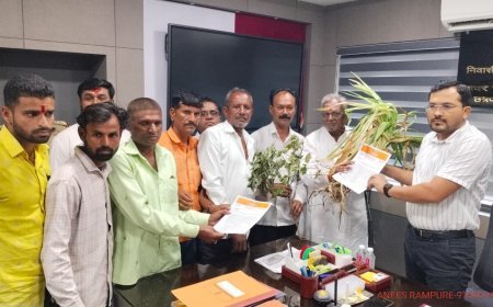 दुष्काळ जाहीर करण्याची मनसेची मागणी, जिल्हाधिकाऱ्यांना दिले निवेदन...
