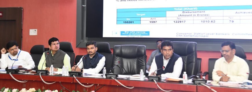 कर्जमुक्ती योजनेतील प्रलंबित प्रकरणे तातडीने निकाली काढा - जिल्हाधिकारी विनय गौडा जी.सी.
