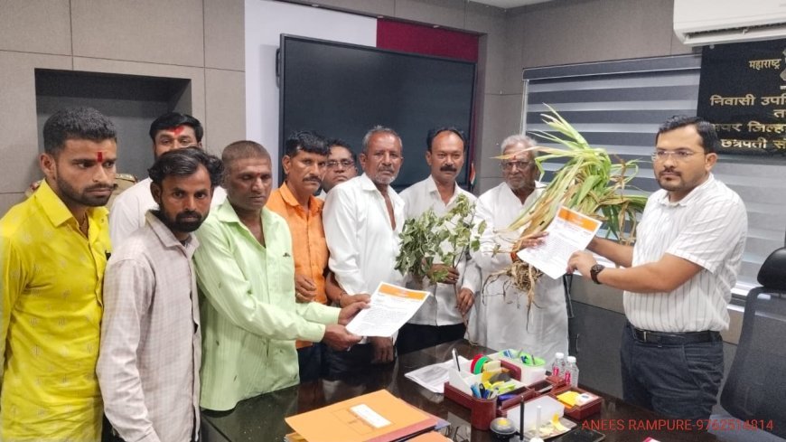 दुष्काळ जाहीर करण्याची मनसेची मागणी, जिल्हाधिकाऱ्यांना दिले निवेदन...