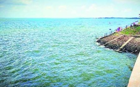 नाथसागरातील पाणीसाठ्याचे नियोजन केवळ पिण्याच्या पाण्यासाठी व जनावरांसाठी राखीव ठेवण्याची गरज