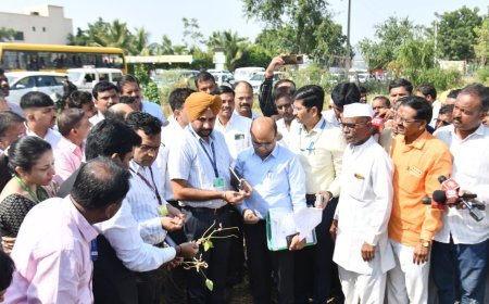देमनीच्या शिवारात केंद्रीय पथकाने अनुभवली दुष्काळाची दाहकता, करपलेली पिके, करपलेली स्वप्ने...