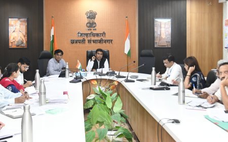 टंचाई आढावा बैठक, गावनिहाय कृती आराखडा तयार करा - जिल्हाधिकारी विनय गौडा जी. सी