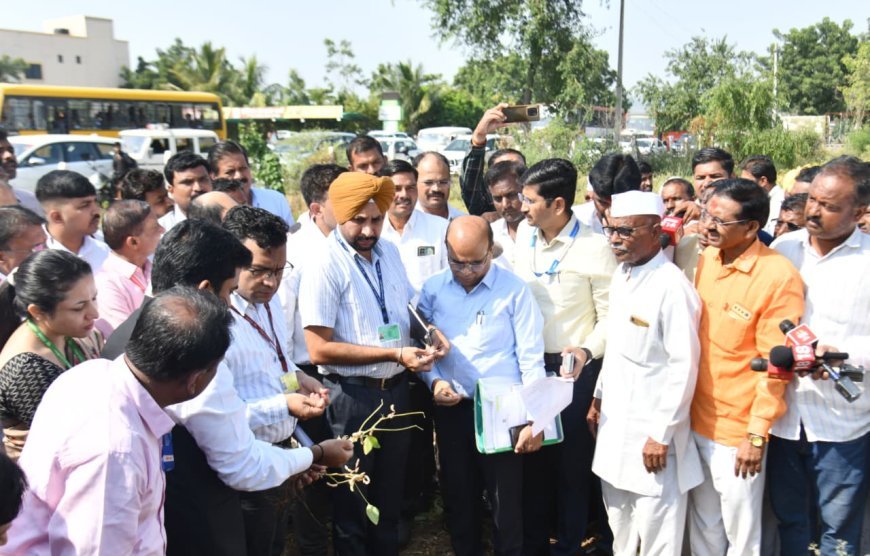देमनीच्या शिवारात केंद्रीय पथकाने अनुभवली दुष्काळाची दाहकता, करपलेली पिके, करपलेली स्वप्ने...
